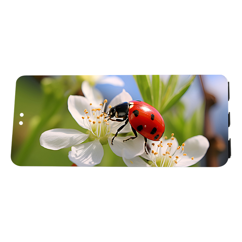 OLED flexible screen