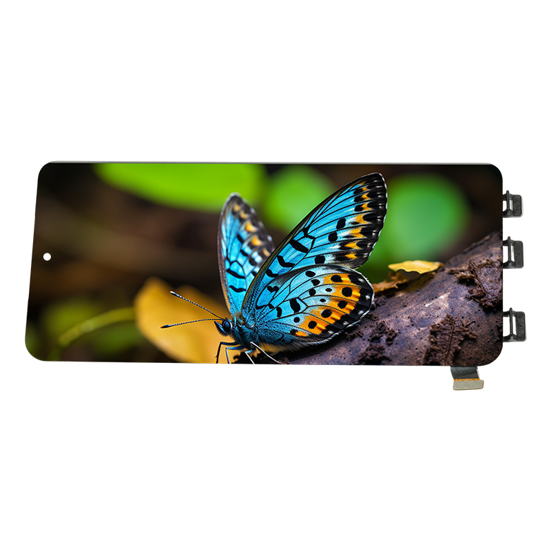 OLED flexible screen