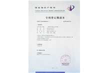 专利