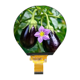 1.31寸分辨率360X360