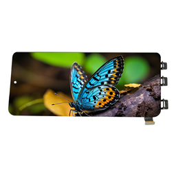 OLED flexible screen