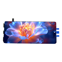 OLED flexible screen