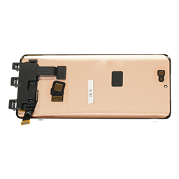 OLED flexible screen